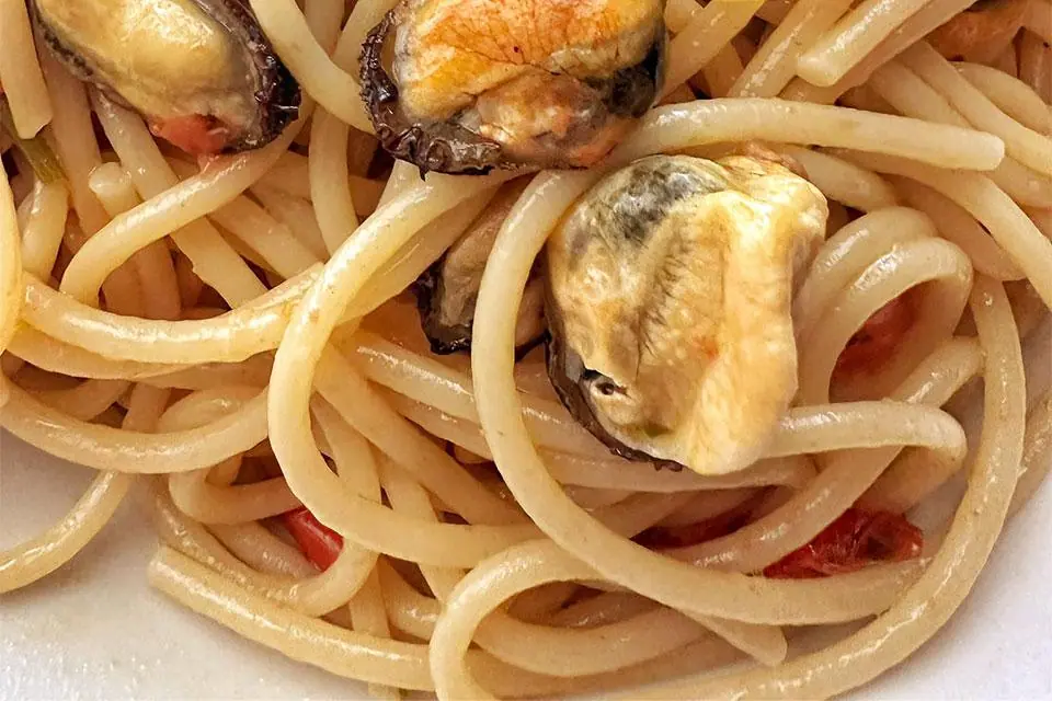Buon Compleanno Mamma Maria!