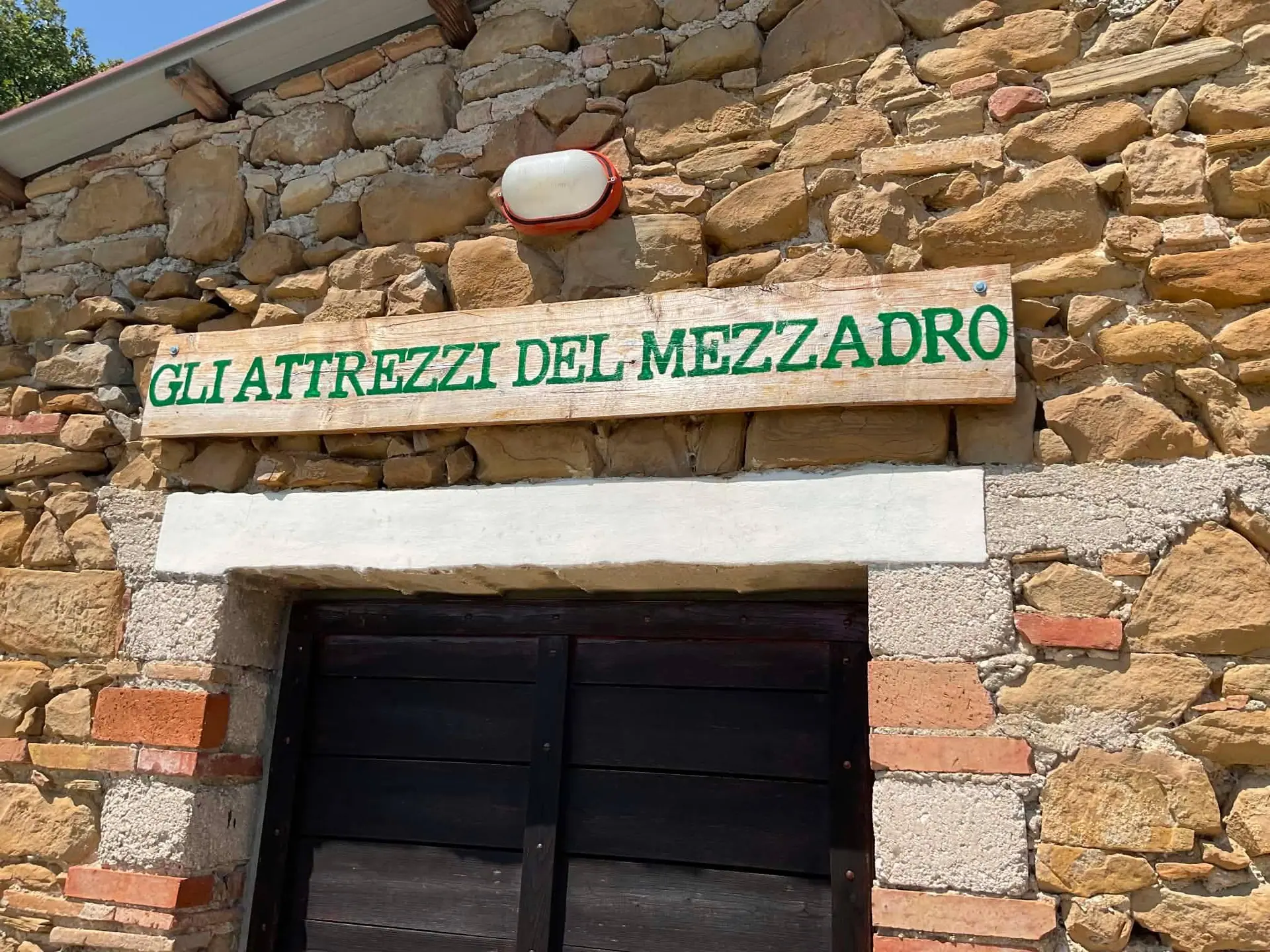 Newsletter 4 Ottobre 2026