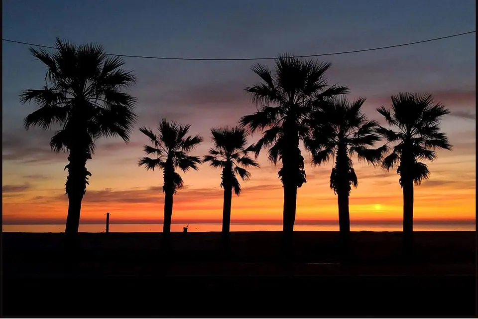 L'alba fra le palme...