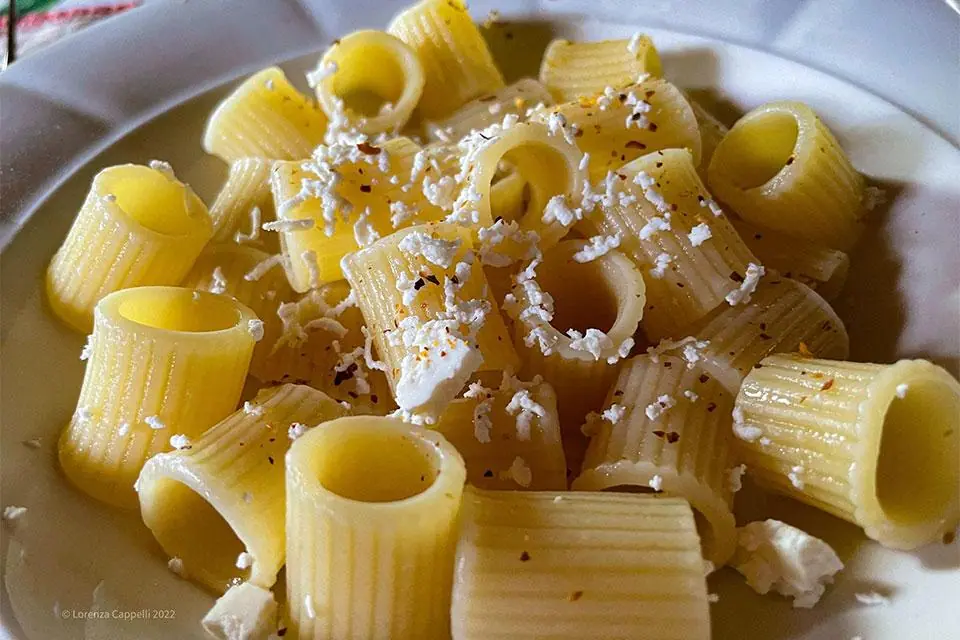 Di chi sono questa mezze maniche?