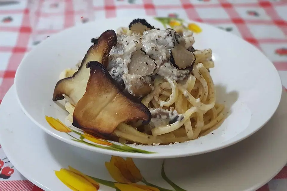L'Indomabile Fungo Cardoncello...