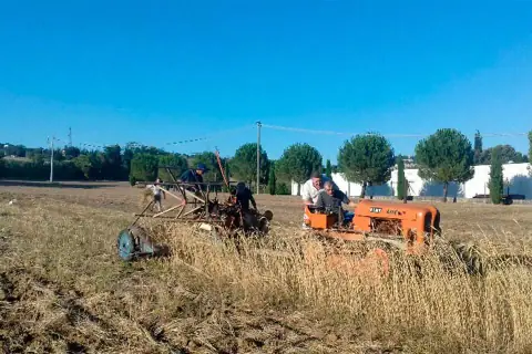 MietituraVintage, Osimo, Martedì 18 Luglio