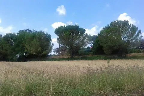 I campi si colorano...