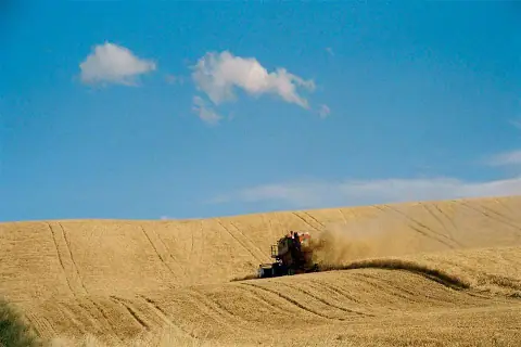Ultimi giorni di raccolti...