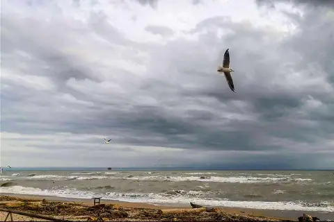 Gabbiani nuvole e mare...