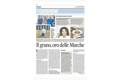 Evviva il grando duro delle Marche