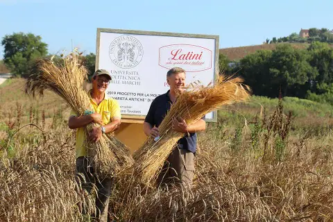 Newsletter 11 Agosto 2019 Buon Ferragosto