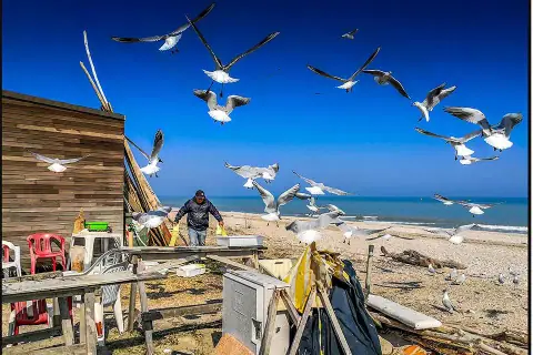 La spiaggia, il pescatore, i gabbiani