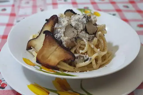 L'Indomabile Fungo Cardoncello...