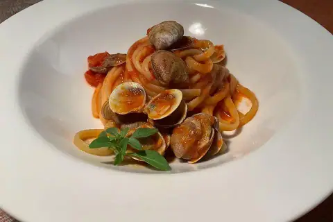 Passione basilico greco...