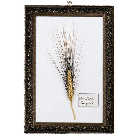 Trucioletti Cappelli Originale 1915